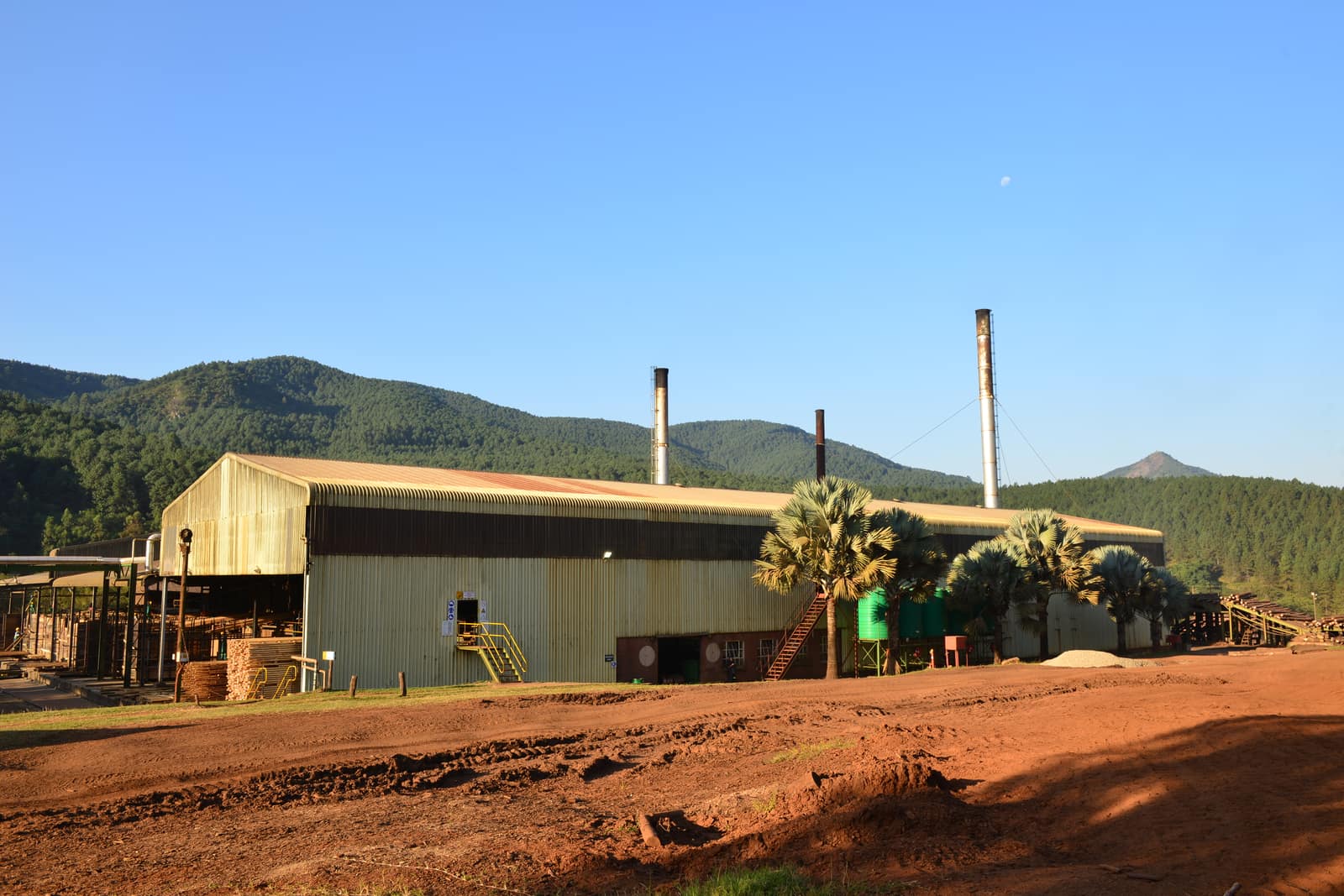 SAFCOL Forestry - sawmill-exterior.jpg