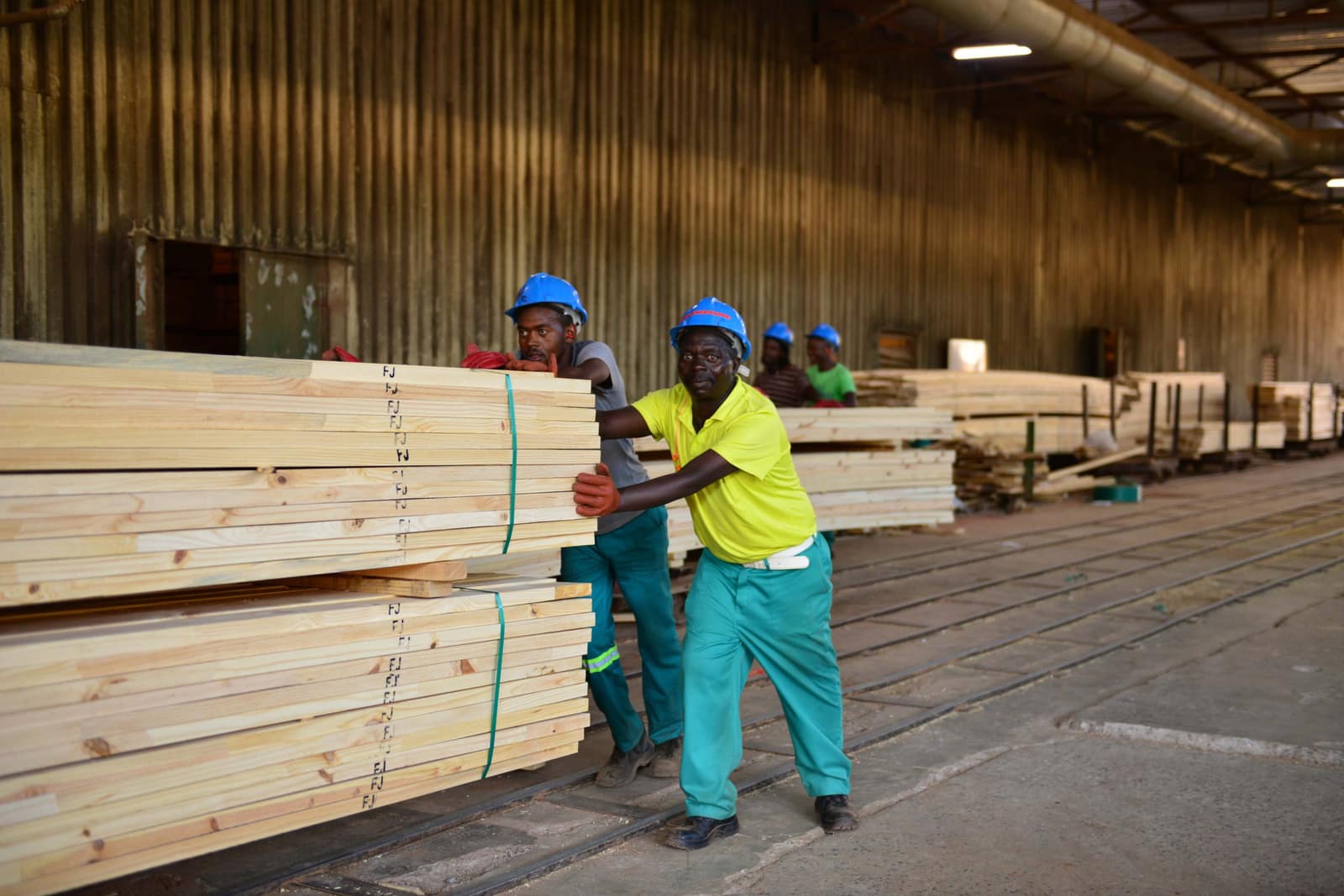 SAFCOL Forestry - worker-portrait.jpg