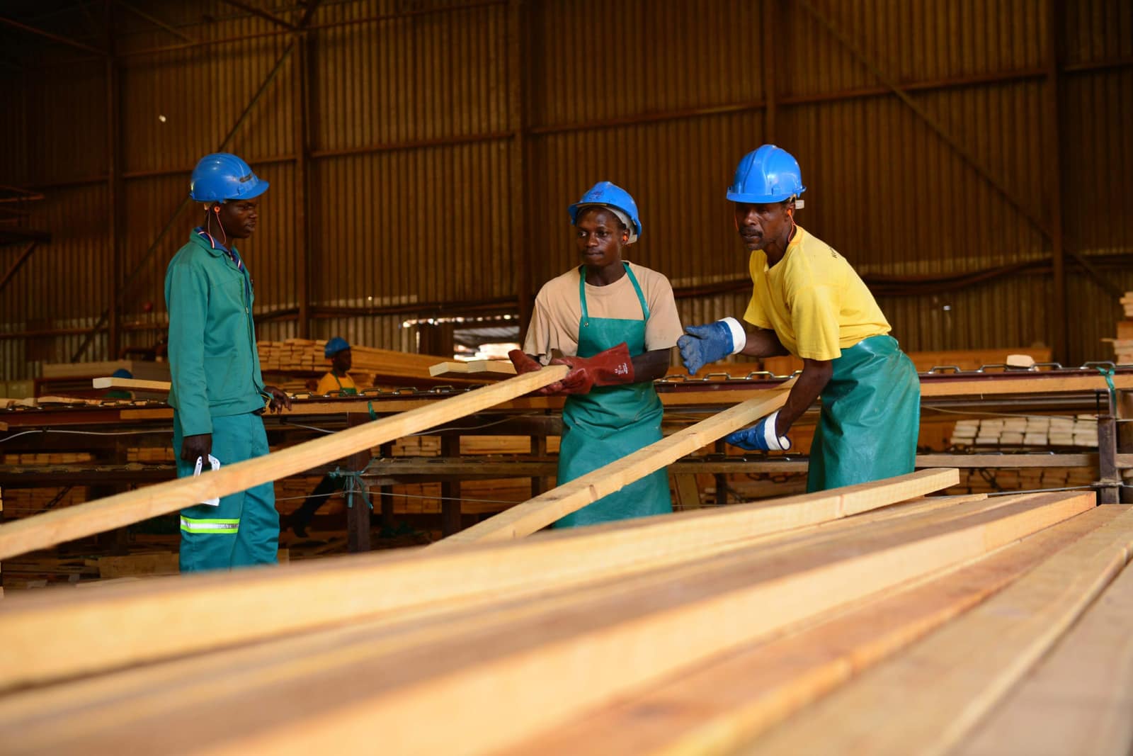 SAFCOL Forestry - workers-lumber.jpg
