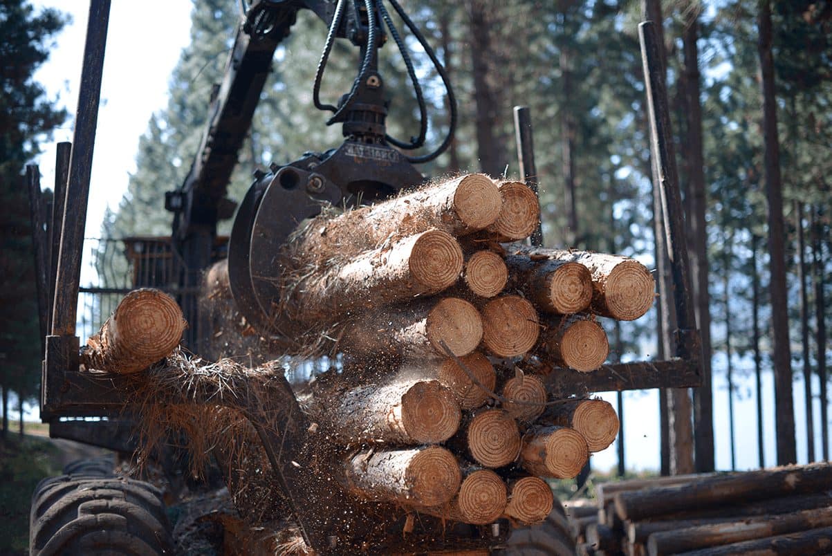 SAFCOL Round Logs - crane-loading.jpg