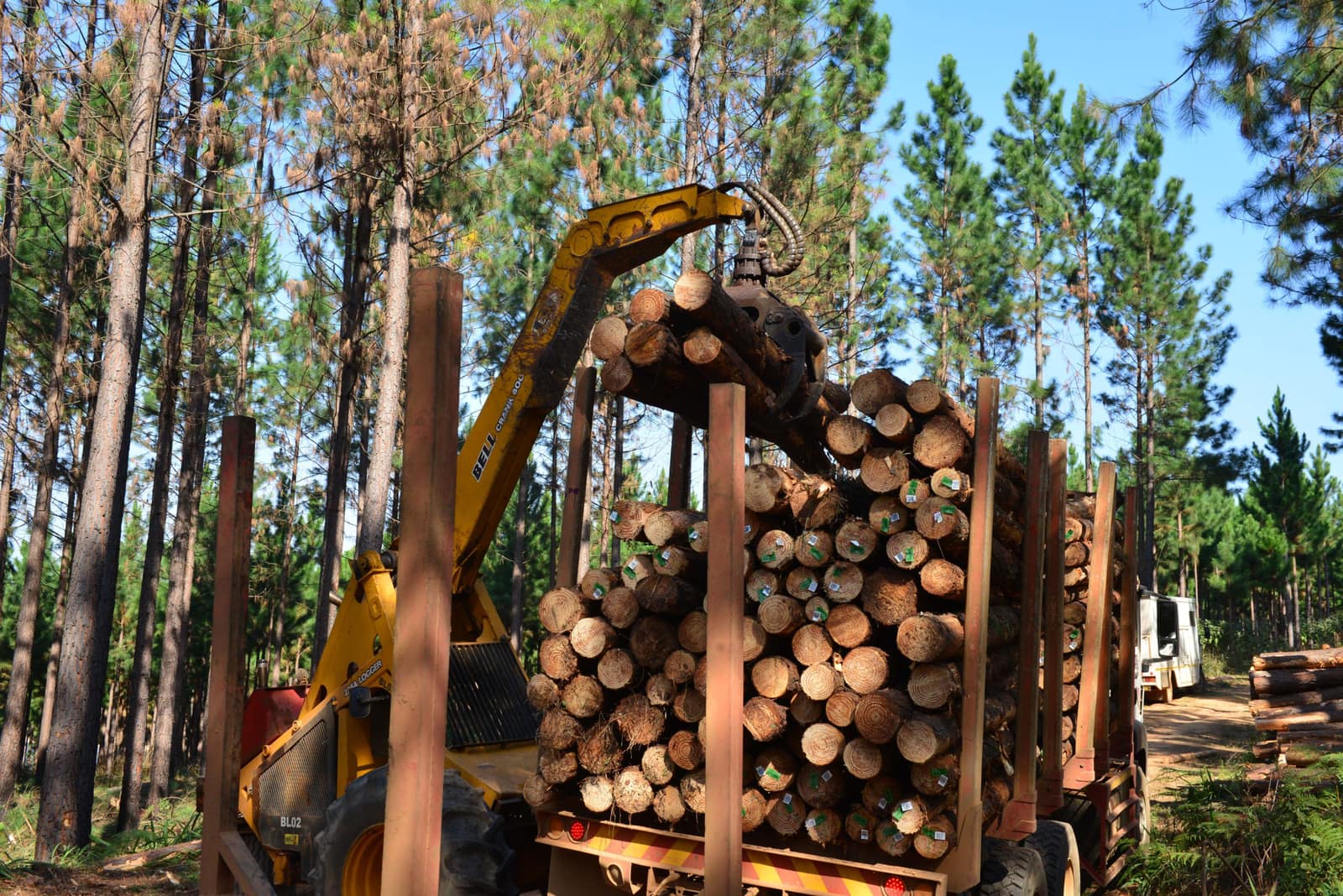 SAFCOL Round Logs - log-depot.jpg