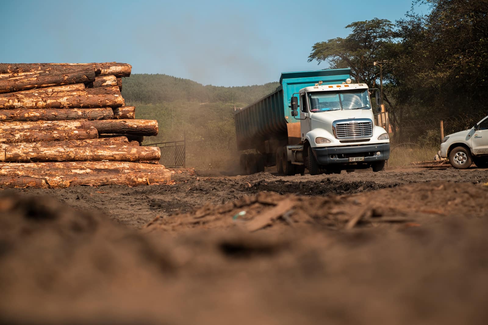 SAFCOL Lumber - log-truck.jpg